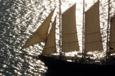 Bar Harbor Shoreside Walk & Schooner Sail cruise excursion